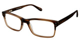 Cremieux 7250 Eyeglasses