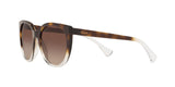 573513 - Gradient Brown