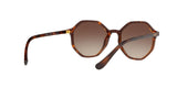 238613 - Brown Gradient