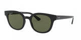 Ray Ban 4324F Sunglasses