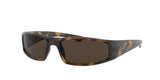 Ray Ban 4335 Sunglasses