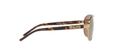 1012T - Gold - Gold Mirror Polarized