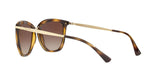 500313 - Gradient Brown