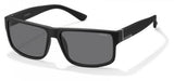 Polaroid Core Pld2030 Sunglasses