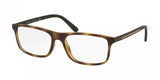 Polo 2197 Eyeglasses