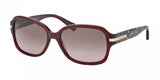 Coach L082 Amber 8105 Sunglasses