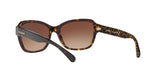 550713 - Dark Tortoise - Brown Gradient