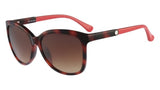 Calvin Klein 3172S Sunglasses