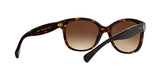 137813 - Havana - Brown Gradient