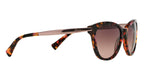 145714 - Havana - Brown Rose Gradient