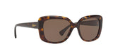 500373 - Shiny Dark Havana - Brown