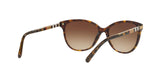 300213 - Havana - Brown Gradient