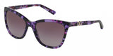 Dolce & Gabbana Iconic Logo 4193M Sunglasses