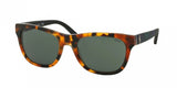 Polo 4091 Sunglasses