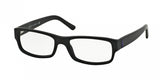 Polo 2102 Eyeglasses