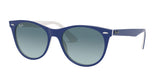 Ray Ban Wayfarer Ii 2185F Sunglasses