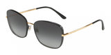 Dolce & Gabbana 2223 Sunglasses