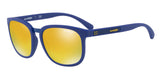 Arnette Tigard 4238 Sunglasses