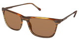 Champion CU6044 Sunglasses