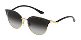 Dolce & Gabbana 2273 Sunglasses