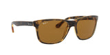 710/83 - Havana - Polar Brown