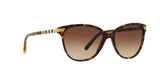300213 - Havana - Brown Gradient