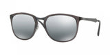 Ray Ban 4299 Sunglasses