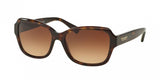 Coach L145 8160 Sunglasses