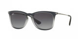 Ray Ban 4221F Sunglasses