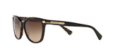 529113 - Havana - Dark Brown Gradient
