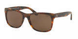 Polo 4106 Sunglasses