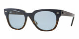 Ray Ban Meteor 4168 Sunglasses