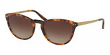 Polo 4118 Sunglasses