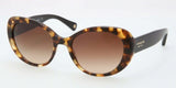 Coach 8049 Sunglasses