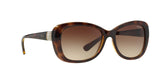 W65613 - Havana - Brown Gradient