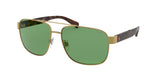 Polo 3130 Sunglasses