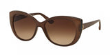 Bvlgari 8169Q Sunglasses