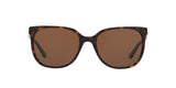 137883 - Havana - Brown Solid Polarized