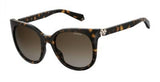 Polaroid Core Pld4062 Sunglasses