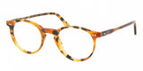 Polo 2083 Eyeglasses