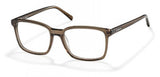 Polaroid Core Pld1S010 Eyeglasses