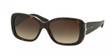 Ralph Lauren 8127B Sunglasses