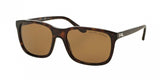 Ralph Lauren 8142 Sunglasses