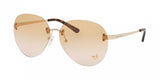 Michael Kors Sydney 1037 Sunglasses