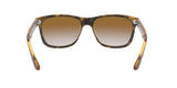 710/51 - Havana - Crystal Brown Gradient