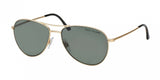 Polo 3084 Sunglasses