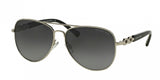 Michael Kors Fiji 1003 Sunglasses