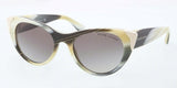 Ralph Lauren 8112 Sunglasses