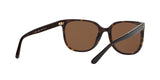 137883 - Havana - Brown Solid Polarized