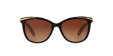 1090T5 - Black - Brown Gradient Polarized